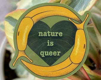 May include: A green sticker with two yellow slugs forming a heart shape. The heart is filled with a dark green leaf and the text "nature is queer" is printed in white.