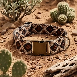 May include: A dog collar with a snake skin pattern in shades of brown, tan, and black. The collar has a brass-colored metal buckle and D-ring. The collar is lying on a sandy surface with cacti and desert plants in the background.