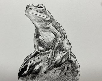 A4 Charcoal and Graphite Drawings from Pictures, Any Drawing or Design can be done.