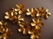 12 Pretty Brass Flowers with Five Petals 