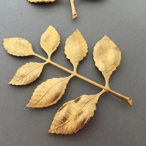Enorme rama de hoja de latón: hermoso detalle