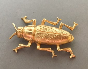Brass Bug Finding Stamping Beetle Medium
