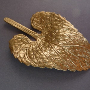 Brass Leaf Branch - Heart Shaped - Spathe - Beautiful