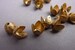 12 Brass Caps - Brass Leaf Ornate 