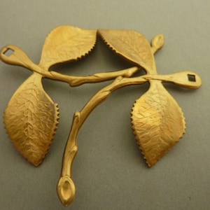 2 Detailed Branch Leaf Findings with Rivet Hole - Rose Flower Stem