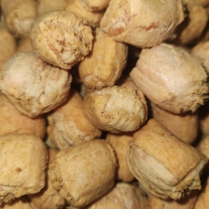 Freeze Dried Chickostix
