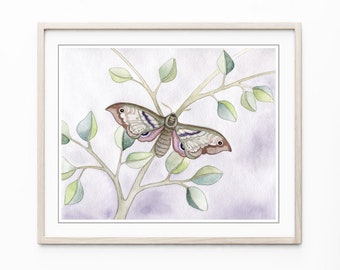 Moth Watercolor Painting, Fine Art Print, Moth Illustration, Sage Green Leaves, Pale Purple Wall Art - Mauve Moth