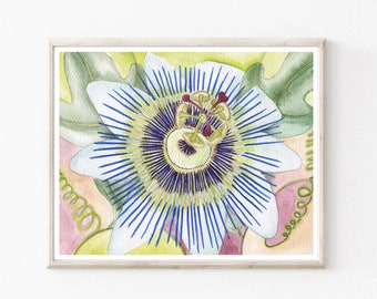 Passionflower Print - Watercolor Painting, Floral Wall Art, Archival Print, Botanical Print, Flower Watercolor