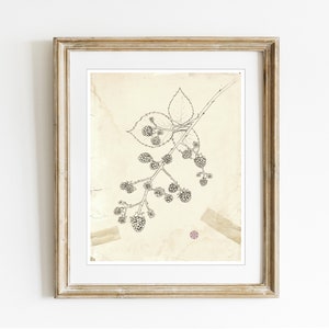 May include: Black and white line drawing of a blackberry branch with leaves and berries. The drawing is on a vintage, cream-colored paper with a brown paper tape accent.