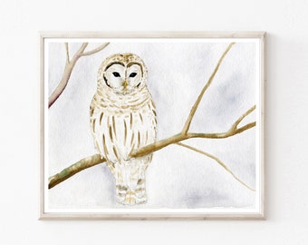 Owl Watercolor Painting, Archival Print,  Barred Owl Wall Art, Beige White, Bird Nature Wall Art