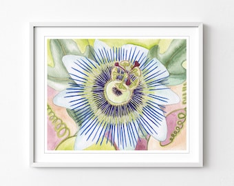 Passionflower Print - Watercolor Painting, Floral Wall Art, Archival Print, Botanical Print, Flower Watercolor