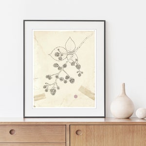 May include: A black and white line drawing of a blackberry branch with leaves and berries, framed in a black frame and hanging on a white wall. The frame is above a wooden cabinet with two drawers.