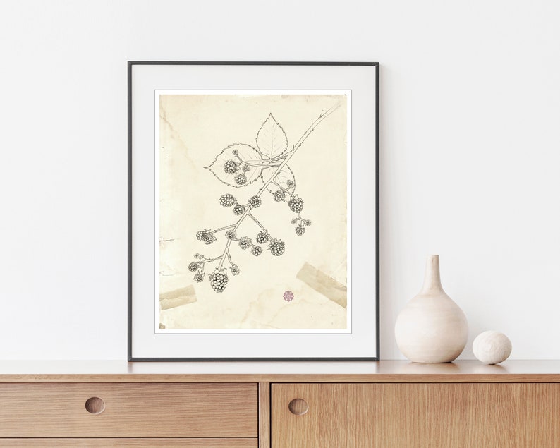 May include: A black and white line drawing of a blackberry branch with leaves and berries, framed in a black frame and hanging on a white wall. The frame is above a wooden cabinet with two drawers.