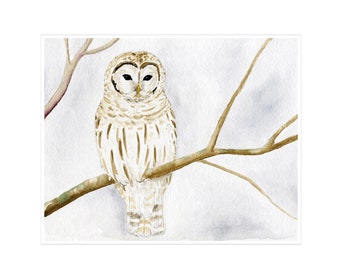 Owl Art Print Watercolor Art, Owl Wall Art, Beige White, Bird Nature Wall Art - Winter Owl