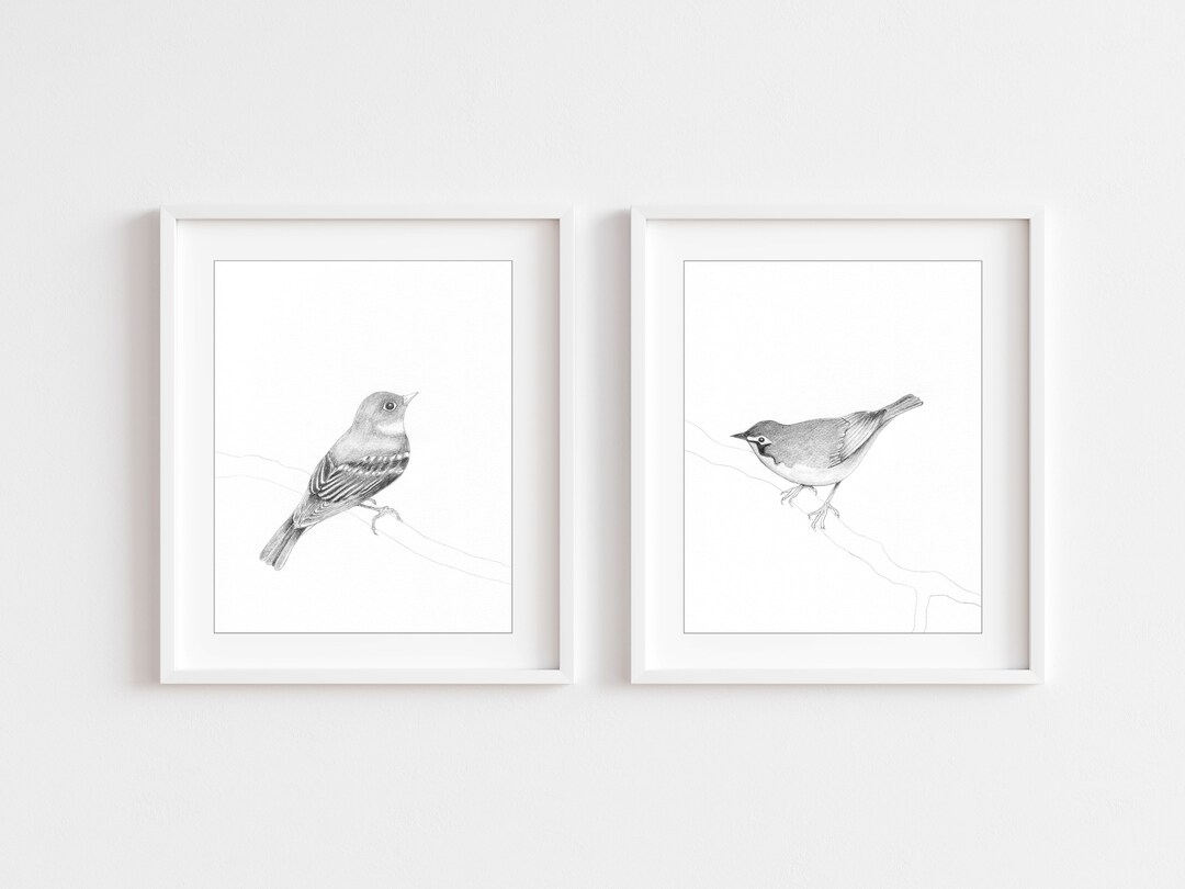 Bird Print Set Black and White Bird Illustrations Set of Two - Etsy