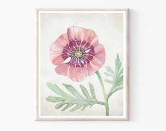 Poppy Flower Print - Watercolor Painting,  Botanical Art, Archival Print, Floral Wall Art Print / Mauve Poppy