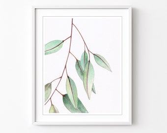 Eucalyptus Leaves Print, Sage Green, Botanical Illustration Print, Fine Art Watercolor Print, 8x10 11x14 Print - Eucalyptus Leaves One