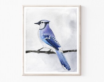 Blue Jay Watercolor Bird Painting Archival Print Nature Wall Art  / Blue Jay