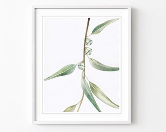 Eucalyptus Leaves Wall Art, Botanical Illustration, Archival Print, Nature Art, Watercolor Painting 8x10 11x14 Print