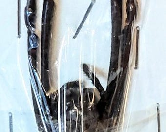 1 Araña A-1, Nephila vitiana, Araña tejedora de seda dorada