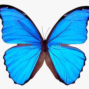 May include: A white ceramic mug with a black handle and the text "But First, Coffee" in a black, bold font. The mug is on a white surface.