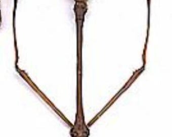 1 A-1 Phaenopharos struthioneus Malaysia Male 4 3/4"Real Walking Stick