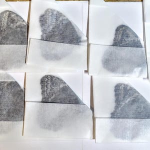 May include: Arrangement of butterfly wing prints on white paper, each in a small, folded envelope. The wings are detailed with dark gray patterns, and the paper has a translucent quality.