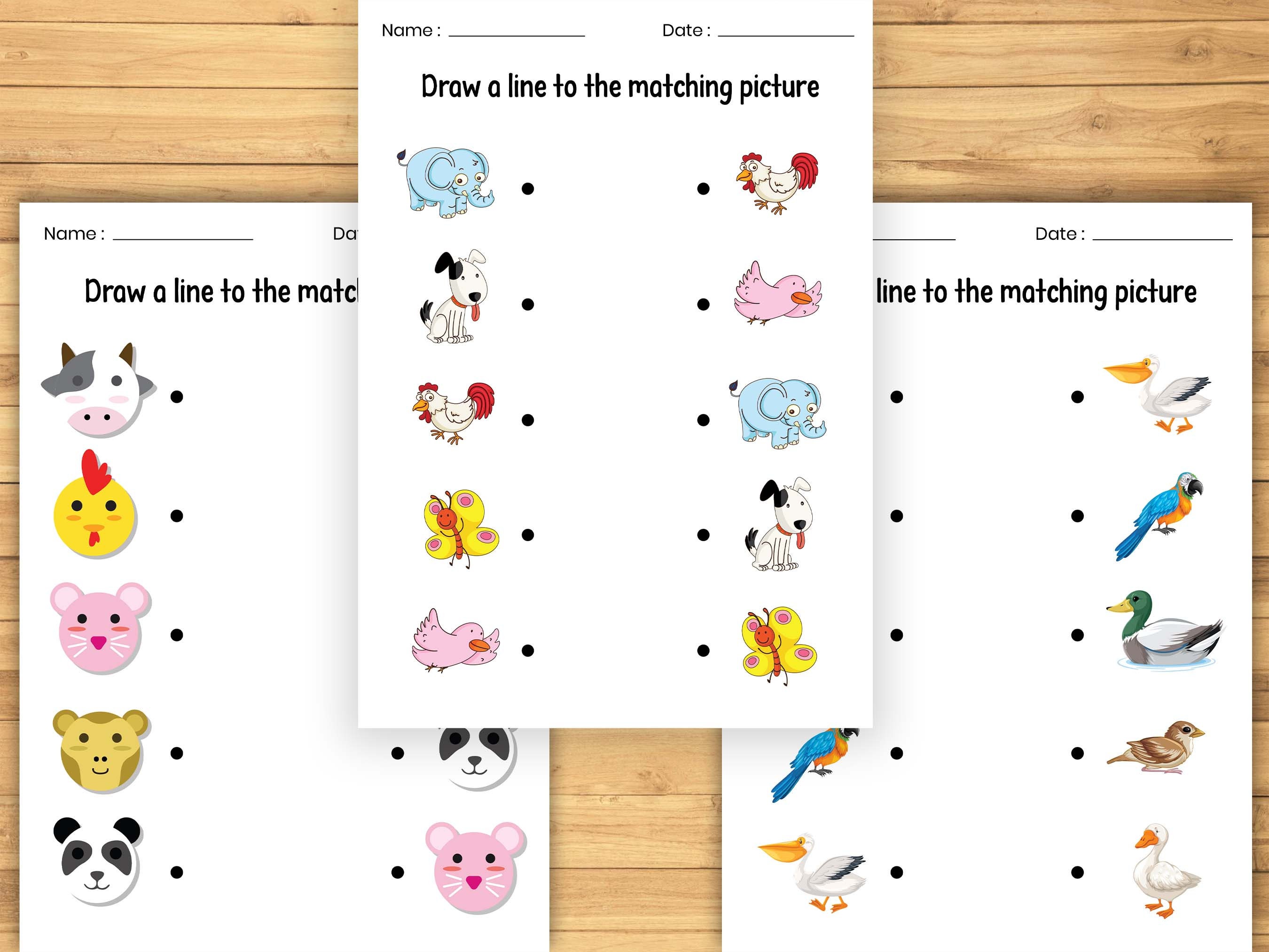 Printable Matching Worksheets Fun and Educational Busybook for Kindergarten &amp; Preschool Match ...