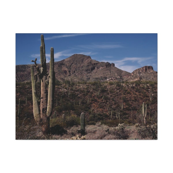 SAGUARO CACTUS photo by Aspen Breyanne Canvas print (multiple size options) - art - photography - home decor