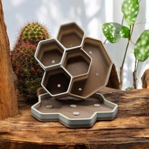 May include: A hexagonal planter made of brown and white plastic with six individual planting compartments. The planter is designed to hold small plants or succulents.