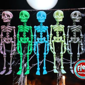 May include: Five skeleton figures hanging from a branch. Each skeleton is made of plastic and is a different colour: pink, green, blue, yellow, and grey.