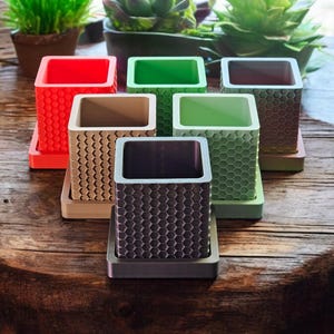 Maceta para suculentas con forma de panal: plástico vegetal impreso en 3D