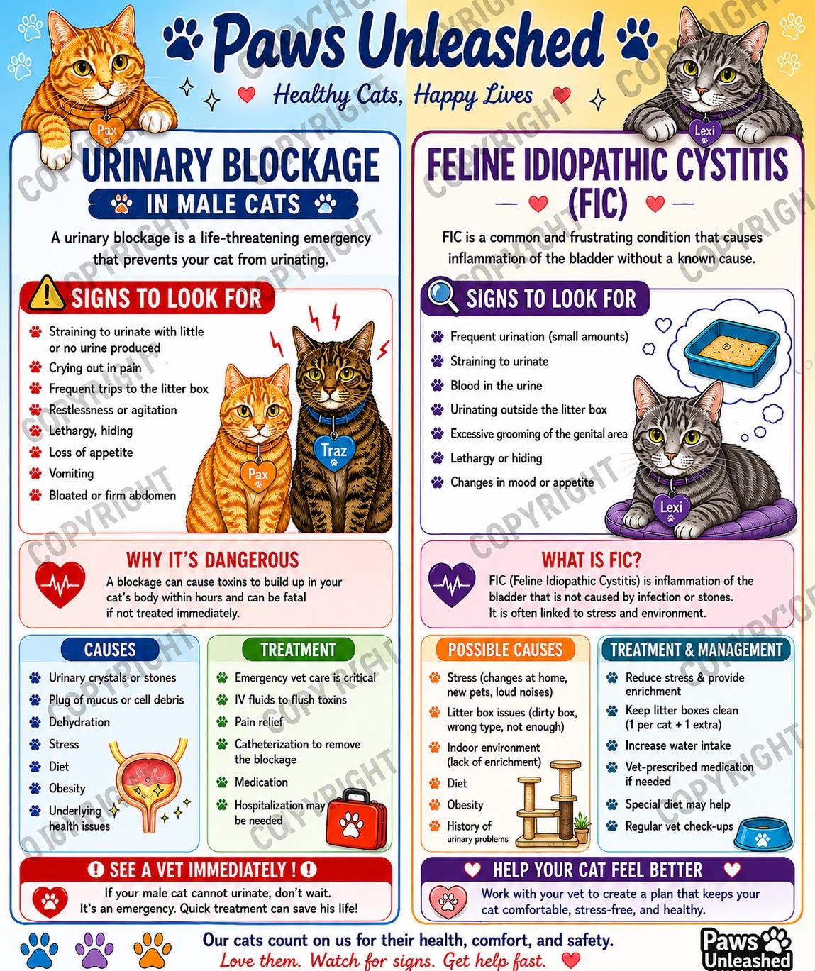 Fic Monitoring Chart Cat Health Infographic Printable, Urinary Blockage & FIC Symptoms Chart ...