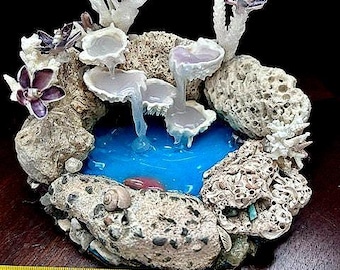 Shells, shellcraft, waterfall, coral