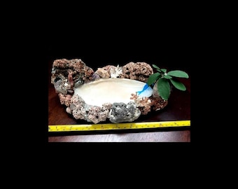 Sea Shell Pond with Waterfall