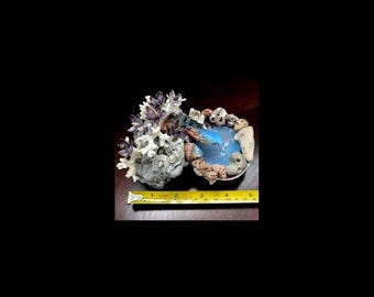 Quahog Shell and Rock Waterfall