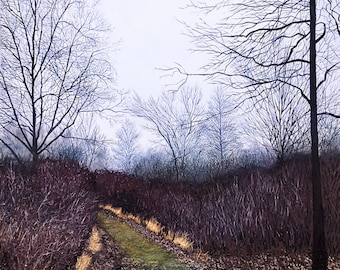 May include: A path through a forest in winter. The path is lined with bare branches and the ground is covered in fallen leaves. There is a puddle of water in the middle of the path.