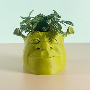 Unique Shrek Head Planter Pot - Cactus Pot and Pen Holder - FAST SHIPPING!