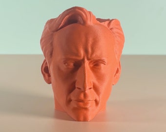 Nicolas Cage Head Planter Pot in ALL COLORS! Cactus Pot and Pen Holder - Fast Shipping!