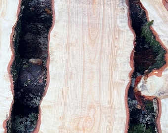 Wood plank/board (Willow)