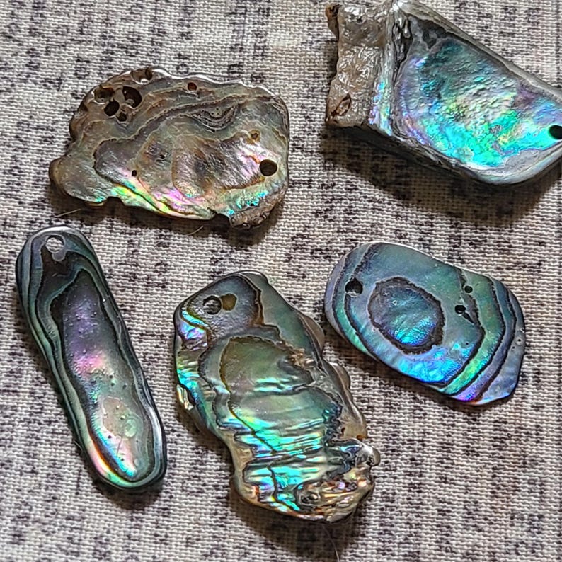 Abalone Shell Tumbled Freeform Drilled Chips 12 Pieces - Etsy