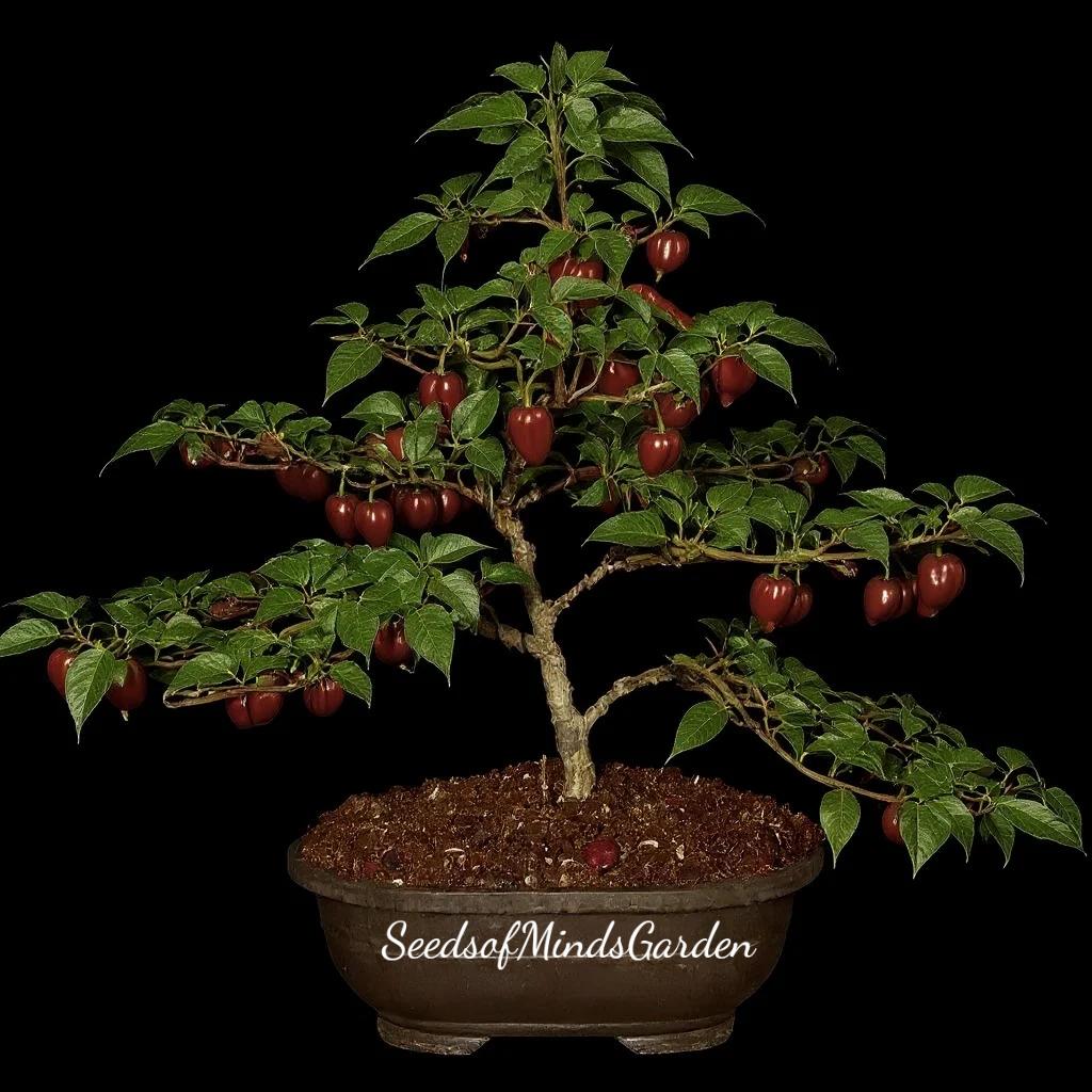 Chili Bonsai - Etsy