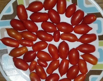 Mini Marzano Micro Dwarf Tomato Seeds
