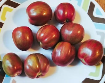 Groovy Tunes Micro Dwarf Tomato Seeds – Non-GMO, Rare Purple Cherry Tomato with Green Stripes – Compact Patio & Container Gardening