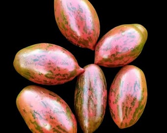 Sweet Tooth Tomato Seeds – Rare Heirloom Roma Type, Purple-Pink with Green Stripes, Sweet Meaty Flavor