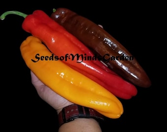Sweet Twister Pepper Seeds – Organic, Non-GMO Long Sweet Pepper for Garden, Heirloom Red Sweet Frying Pepper