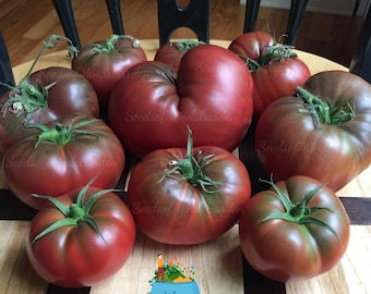 Black Krim Heirloom Tomato Seeds - Smoky Flavor, Heirloom Variety, Perfect for Slicing & Salads