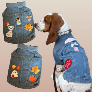 Custom Denim Jacket for Dogs