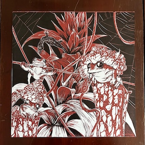 Linocut print of frogs, pitcher plants, nature print, fine art print, frog art