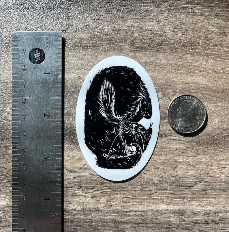 Puede incluir: Una pegatina ovalada con una ilustraci&oacute;n en blanco y negro de un gato enroscado. Una regla de metal muestra que la pegatina mide aproximadamente 6,4 cm de alto, y una moneda est&aacute; colocada al lado para una clara comparaci&oacute;n de tama&ntilde;o.